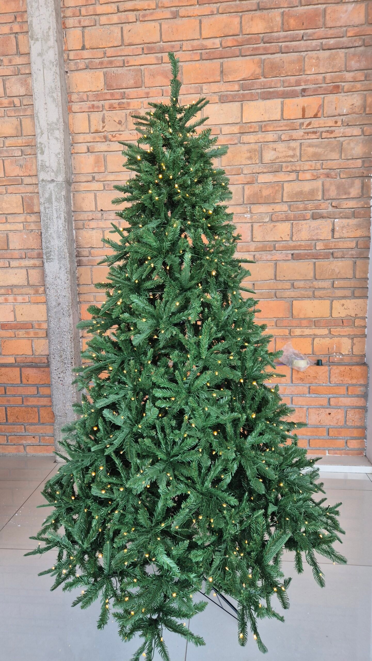 foto arbol 4 foto arbol 4